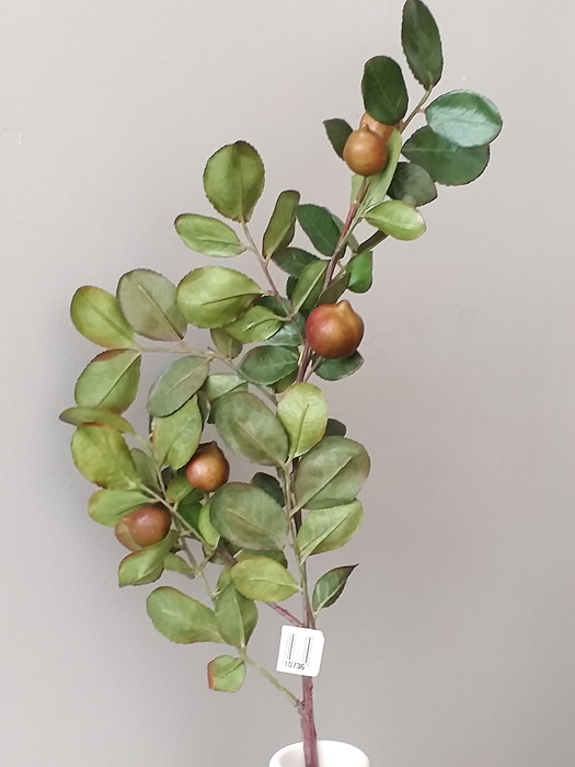 baies_artificielles_95992-053_4.jpg Branche de baies artificielles vertes Vrancks – Image 1