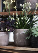 Cache-pot céramique taupe déco naturelle Ib Laursen