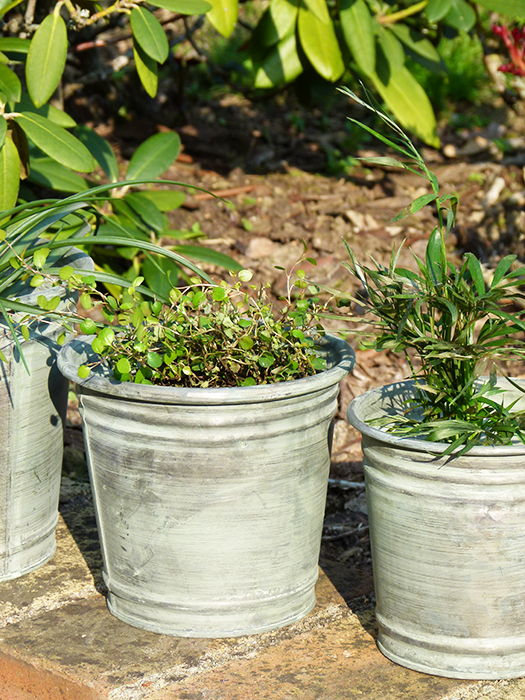 cache_pot_krentz_63589791_2.jpg Cache-pot zinc patine vert d'eau MM déco campagne – Image 1