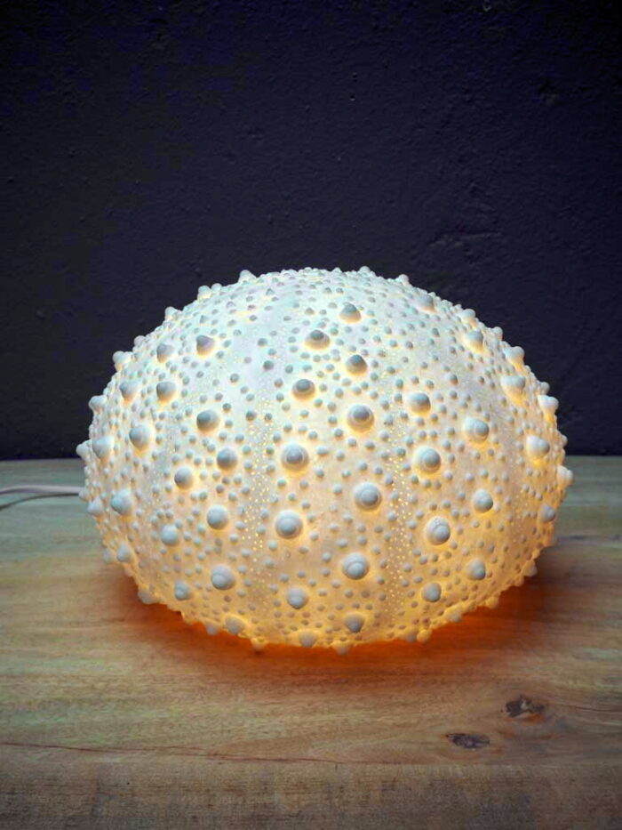 Lampe oursin poudre de pierre et résine