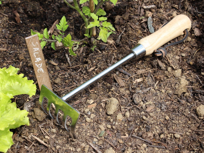 rateau_50303.jpg Rateau à fleurs bois naturel et inox – Image 1