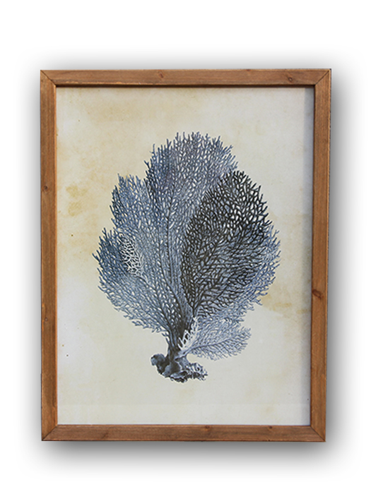 tableau_corail_chehoma_20525.jpg Tableau corail bleu (réf.2) déco bord de mer Chehoma – Image 1