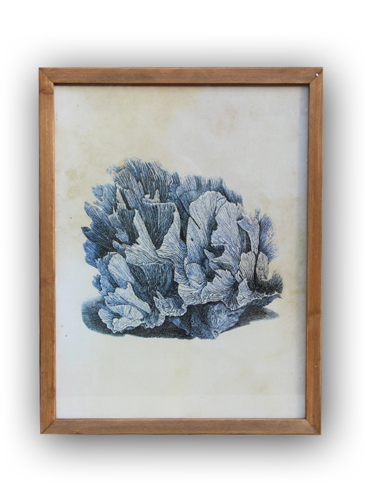 tableau_corail_chehoma_20526.jpg Tableau corail bleu (réf.1) déco bord de mer Chehoma – Image 1