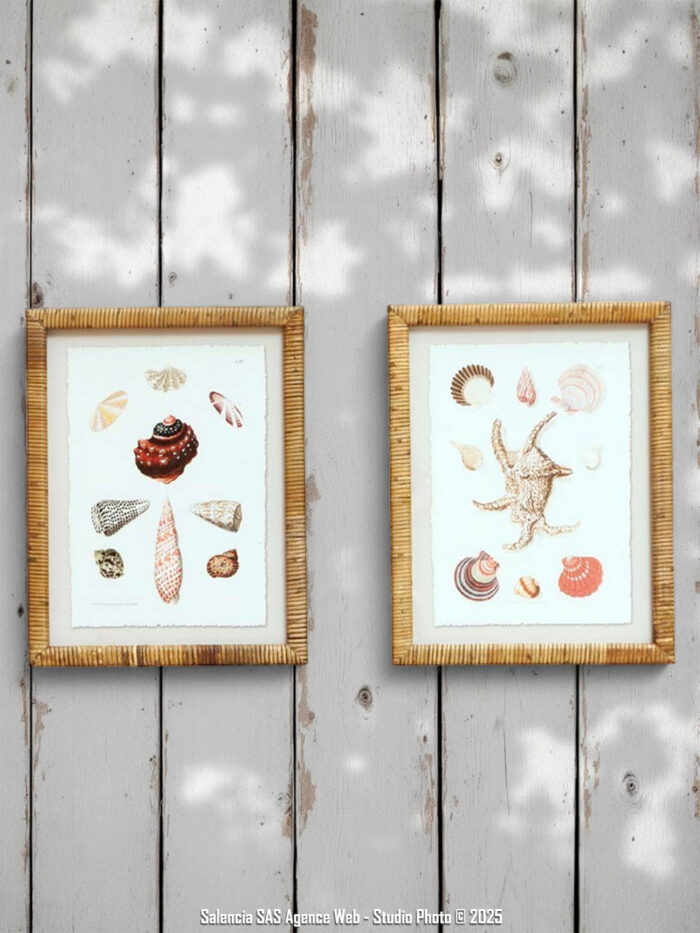 Set de 2 cadres coquillages Chehoma