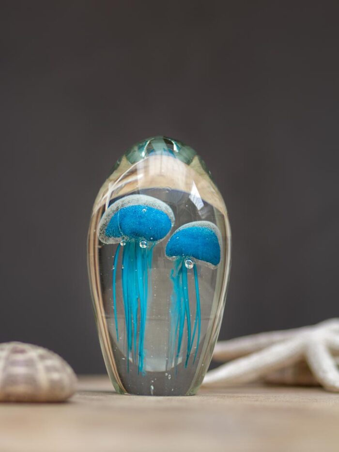 Sulfure méduse turquoise Chehoma – Image 1