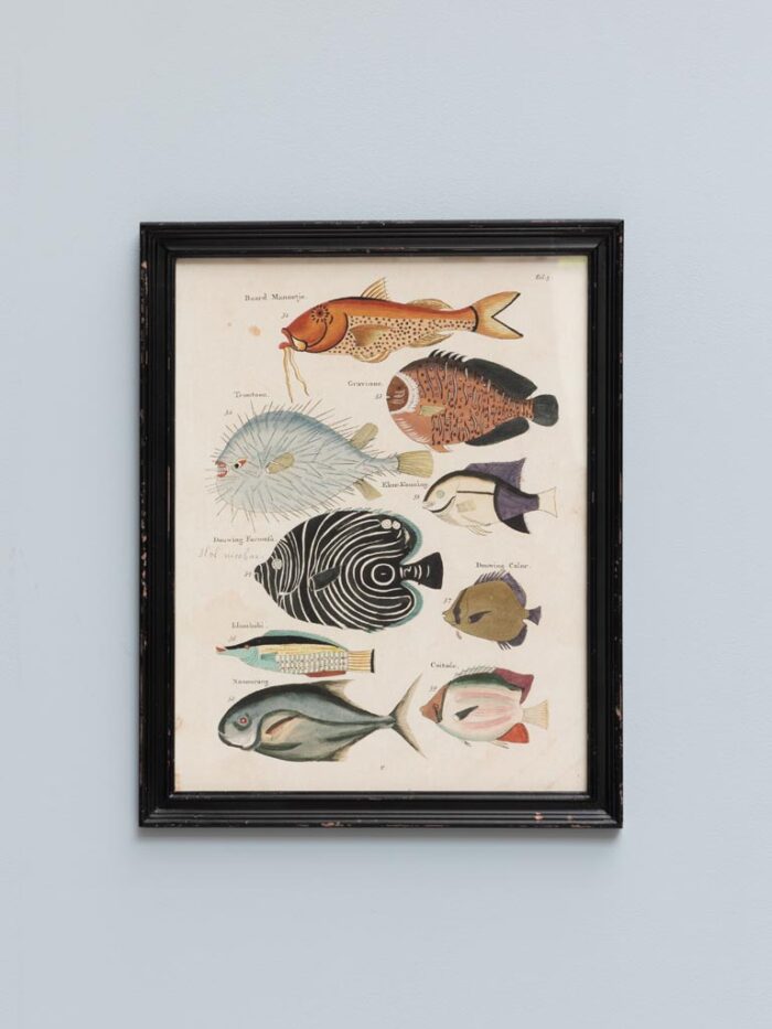 Cadre poissons multicolores Ref3 Chehoma