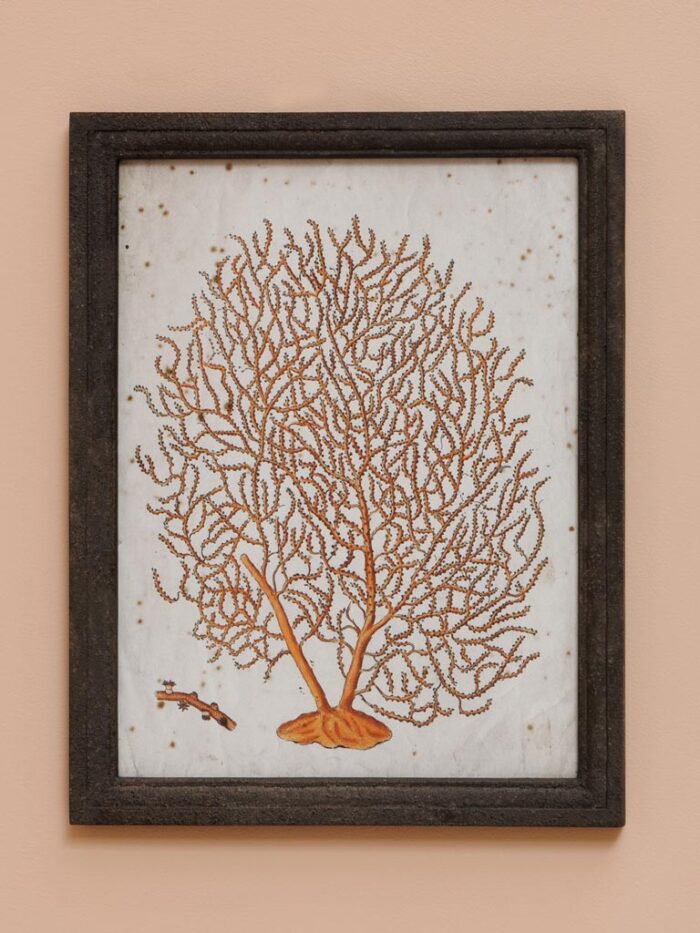 Set de 2 cadres coraux patine antique – Image 3