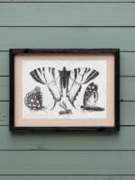 Set de 4 cadres gravures papillons Chehoma – Image 5