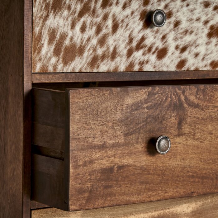 Commode Texas – Image 4