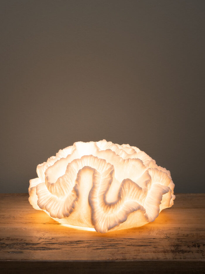 Lampe à poser corail Agarice – Image 2