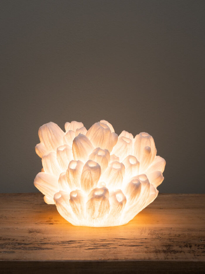 Lampe à poser corail Arbuscule – Image 2