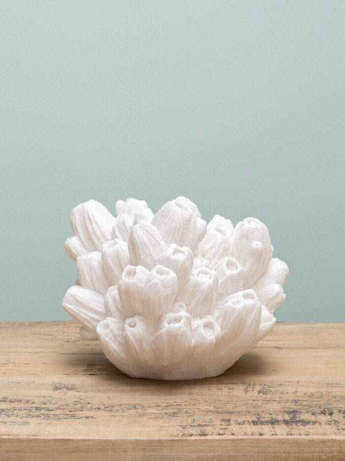 Lampe à poser corail Arbuscule Chehoma