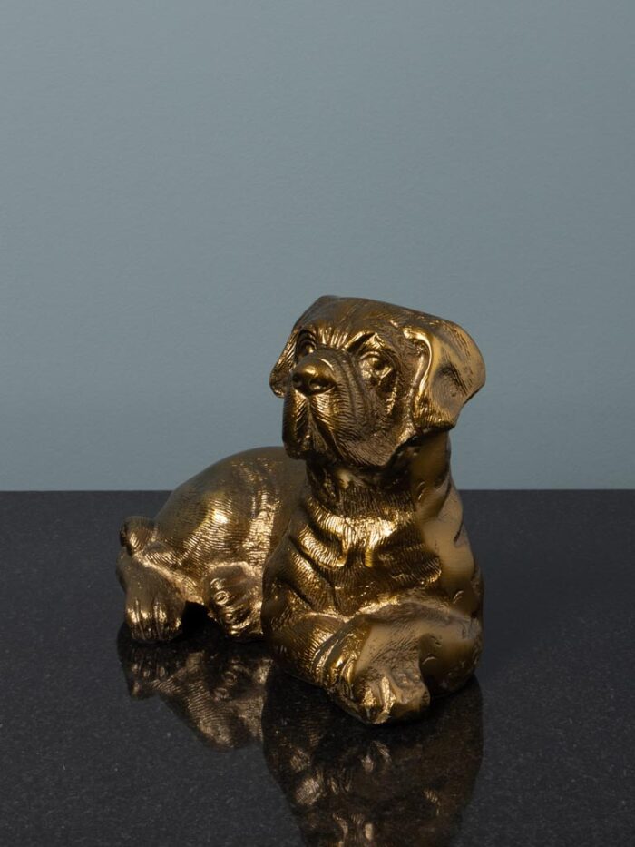 Chien couché doré – Image 2