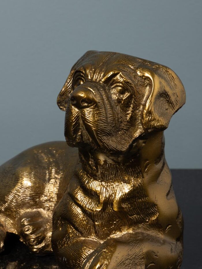 Chien couché doré – Image 5