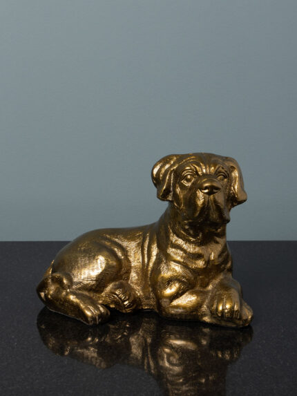 Chien couché doré Chehoma