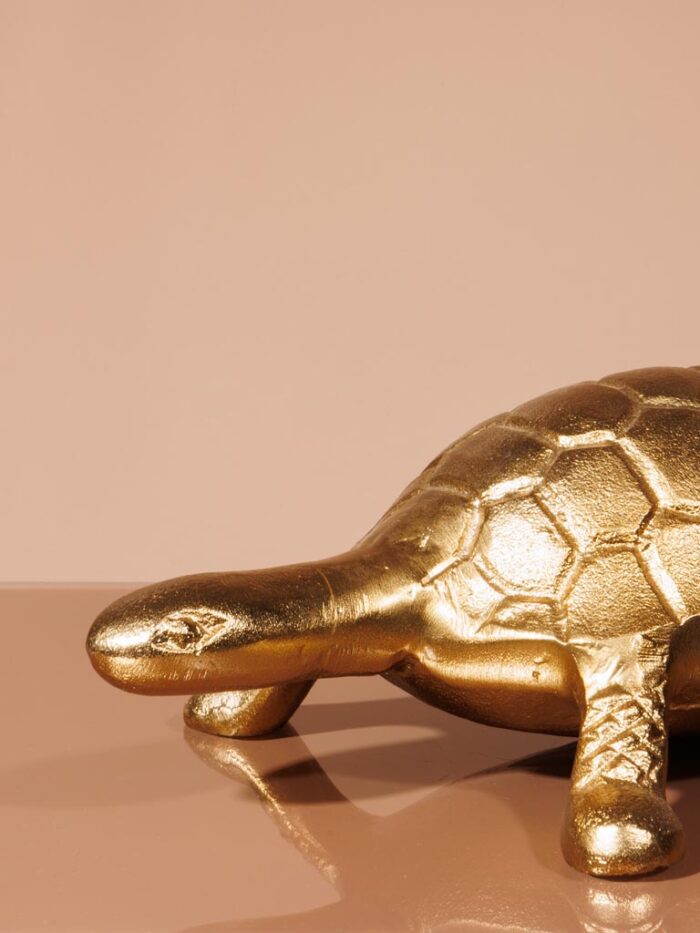 Figurine tortue en laiton – Image 2