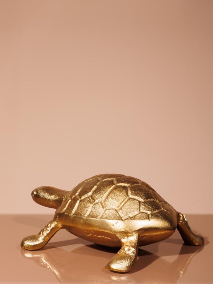 Figurine tortue en laiton – Image 3