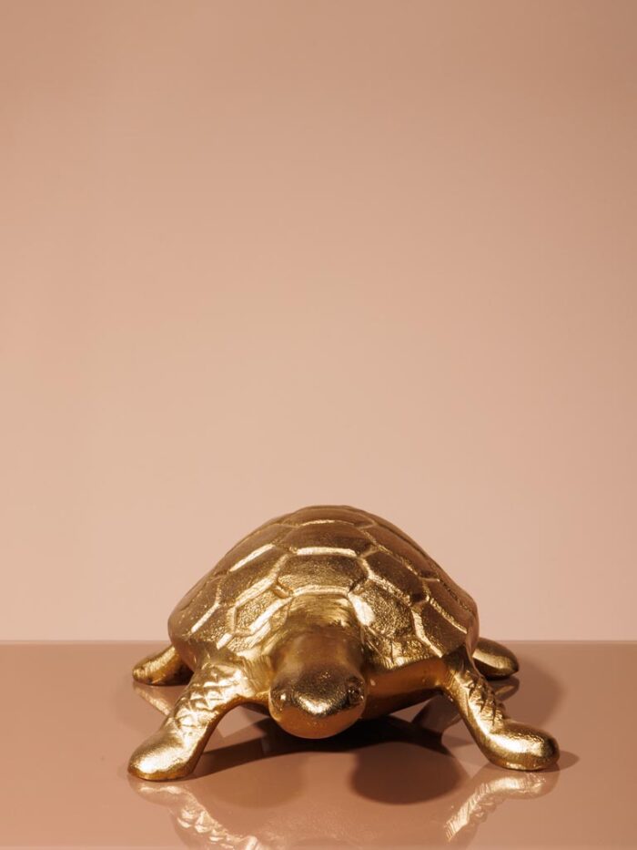 Figurine tortue en laiton – Image 5