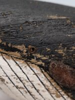 Grande baleine peinte – Image 4