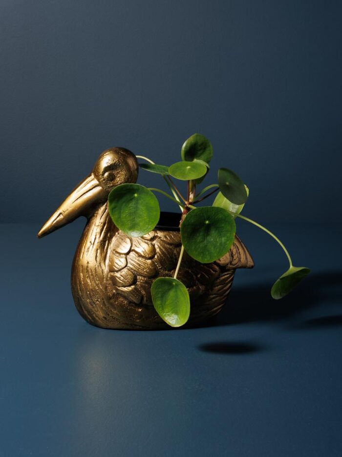 Cache pot Pélican Chehoma
