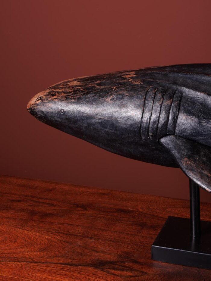 Grand requin noir base métal – Image 3