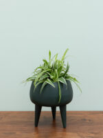 Petit cache pot vert sur trepied Chehoma