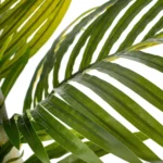Plante artificielle Palmier moyen – Image 3