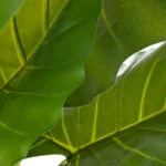 Plante artificielle Philodendron haut – Image 3