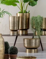 Set 2 vases or Hilia Ixia