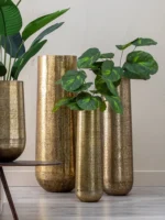 Set 3 vases or Hilia Ixia