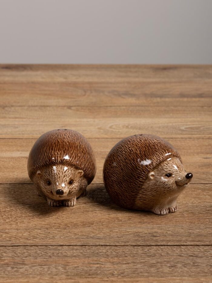 Set salière poivrière hérissons – Image 2