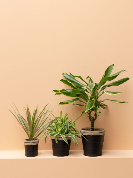 Set de 3 cache pots pneu recyclé Chehoma