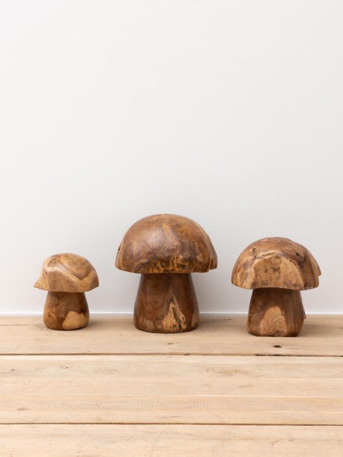 Set de 3 champignons extérieurs en teck – Image 2