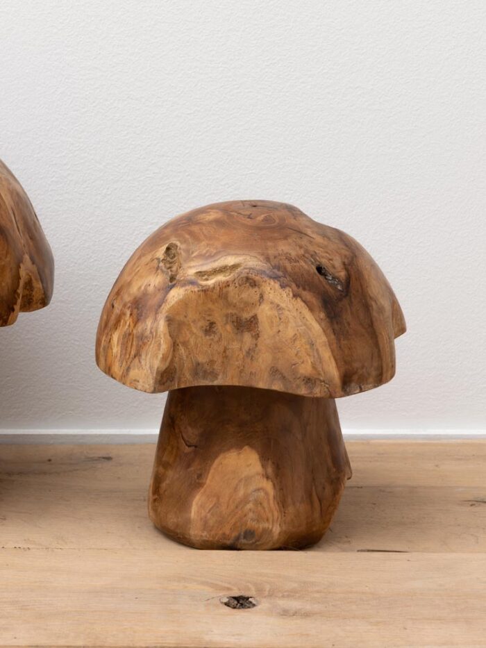 Set de 3 champignons extérieurs en teck – Image 3