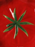 Assiette tomate rouge et verte – Image 2