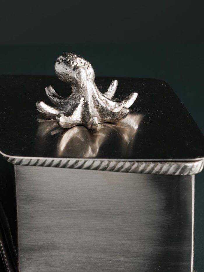 Boîte losange pieuvre – Image 3