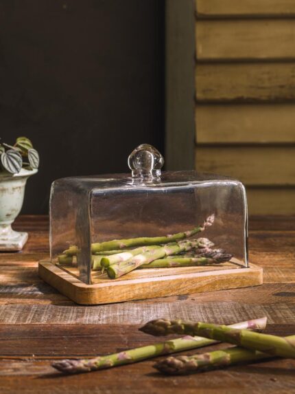 Plateau carré et cloche en verre Chehoma