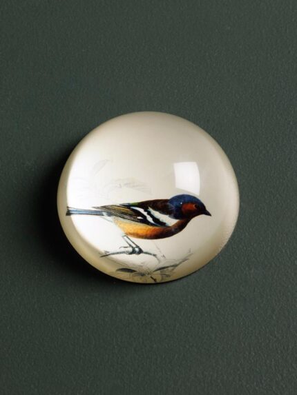 Presse-papier Birdy Pinson Chehoma