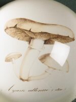 Presse-papier Champignon – Image 2