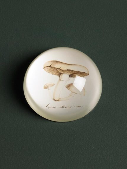 Presse-papier Champignon Chehoma