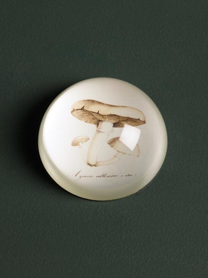 Presse-papier Champignon Chehoma