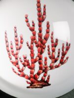 Presse-papier Corail – Image 2
