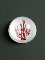 Presse-papier Corail Chehoma