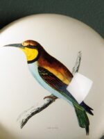 Presse-papier oiseau Guépier – Image 2