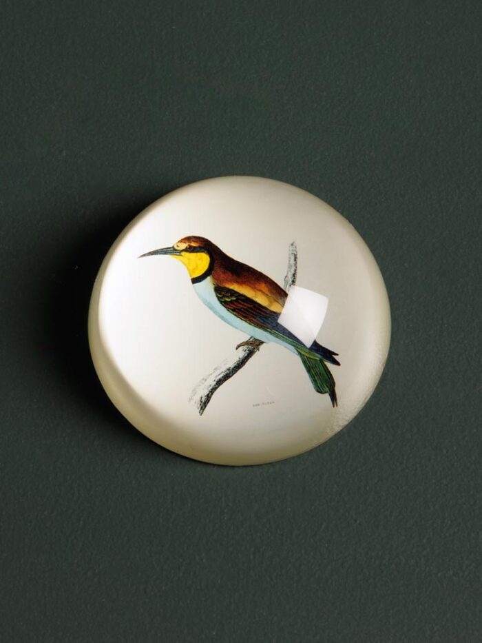 Presse-papier oiseau Guépier Chehoma