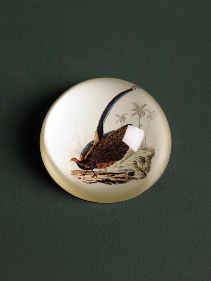 Presse-papier oiseau Paon Chehoma