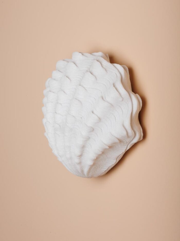 Applique coquillage LED – Image 2