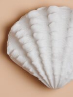 Applique coquillage LED – Image 3
