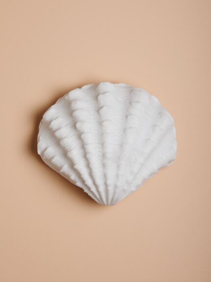 Applique coquillage LED Chehoma