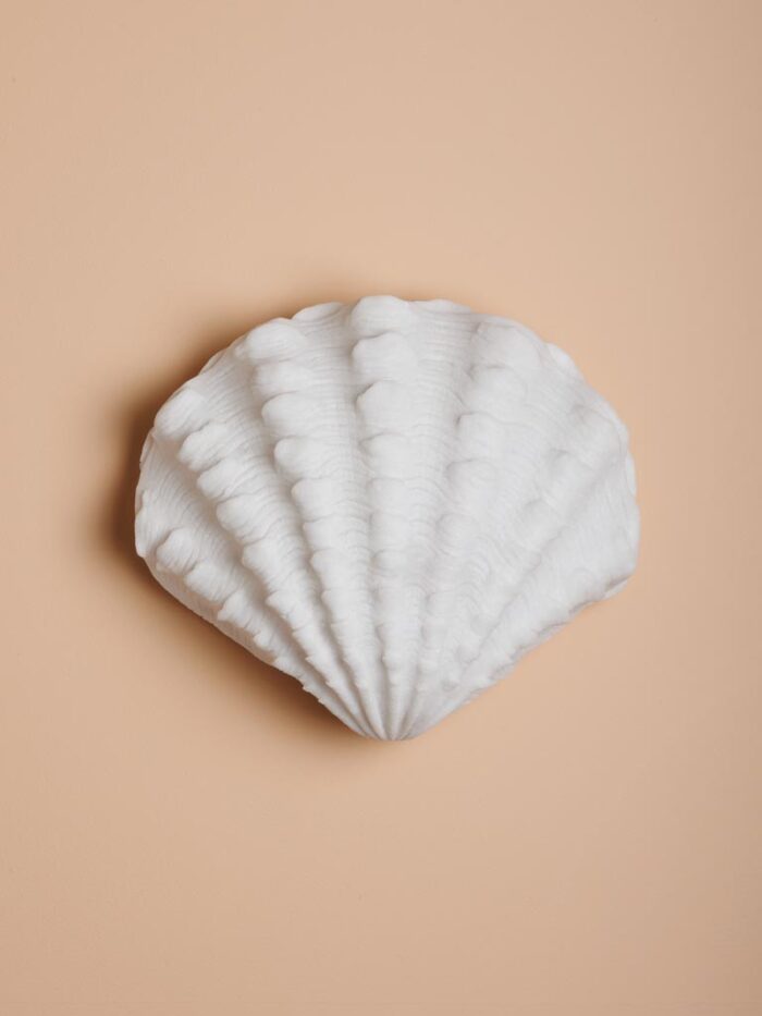 Applique coquillage LED Chehoma